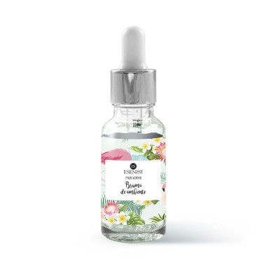 Brumas de Ambiente Nature