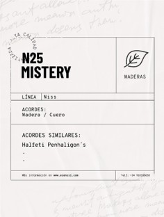 N25 / MISTERY 2