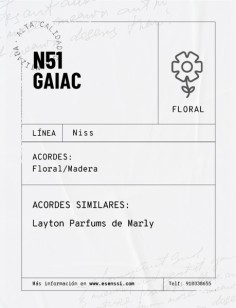 N51 / GAIAC 2