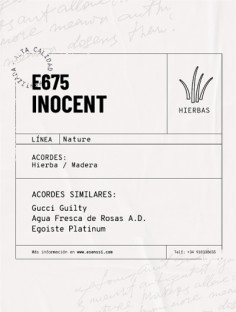 E-675 / INOCENT