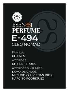 E-494 / CLEO NOMAD 2