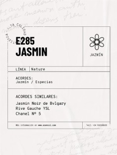E-285 / JASMIN 2