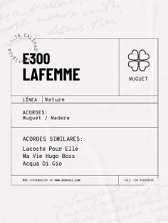 E-300 / LAFEMME 2