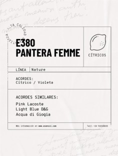 E-380 / PANTERA FEMME 2
