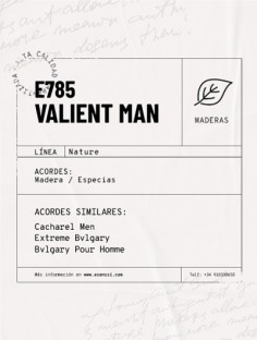 E-785 / VALIENT MAN 2