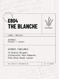 E-804 / THE BLANCHE 2