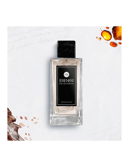 N30 / LORD [ELIMINADO]