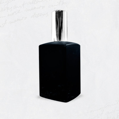 E478 / BOISÉ