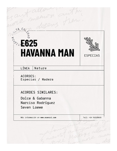 E625 / HAVANNA MAN